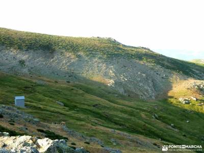 Navacerrada,La Maliciosa,Vespertina;sierra pobre madrid singles grupos salida de fin de semana